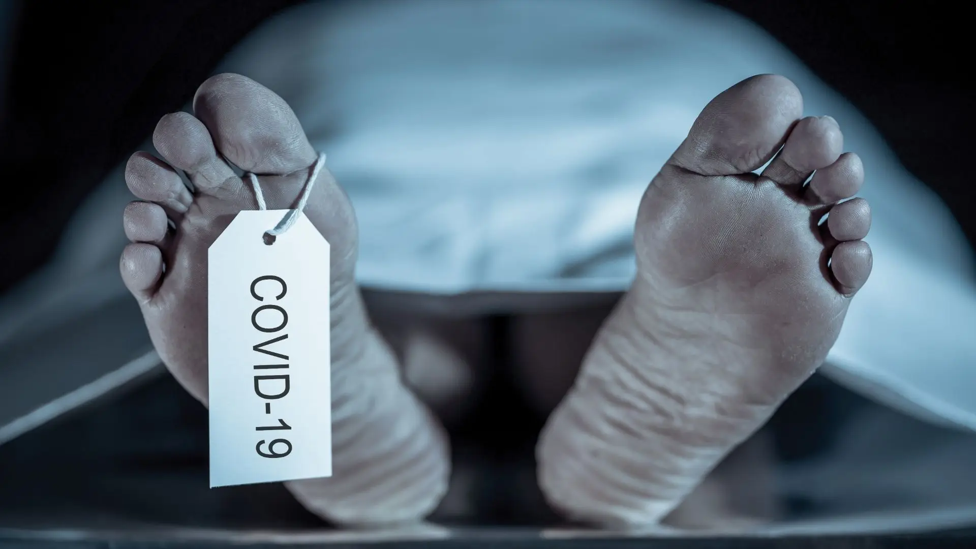 Estudo revela que doenças crónicas e falhas na saúde pública alimentaram mortes por covid-19