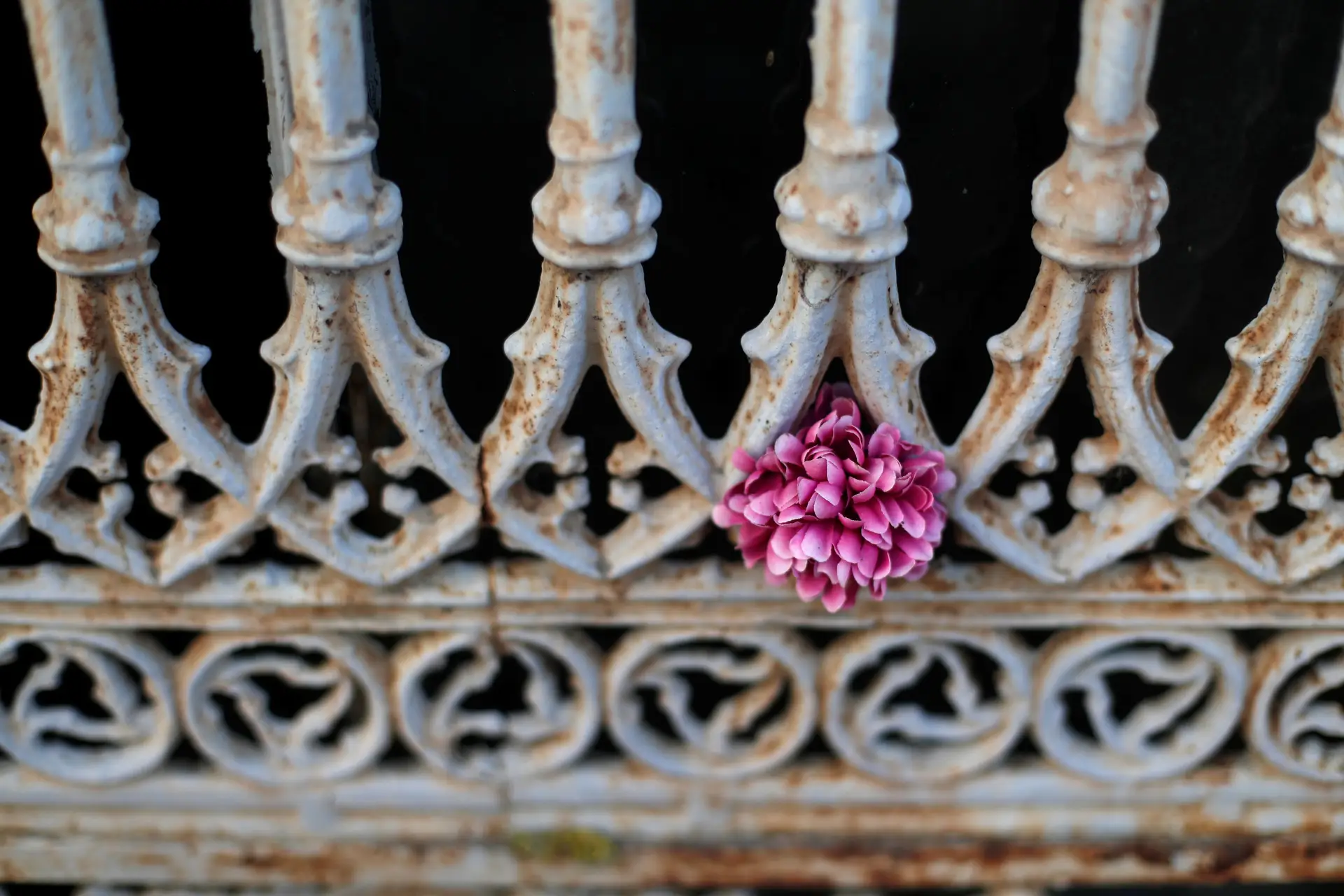 Cemitérios do Porto encerrados entre os dias 31 de outubro e 2 de novembro