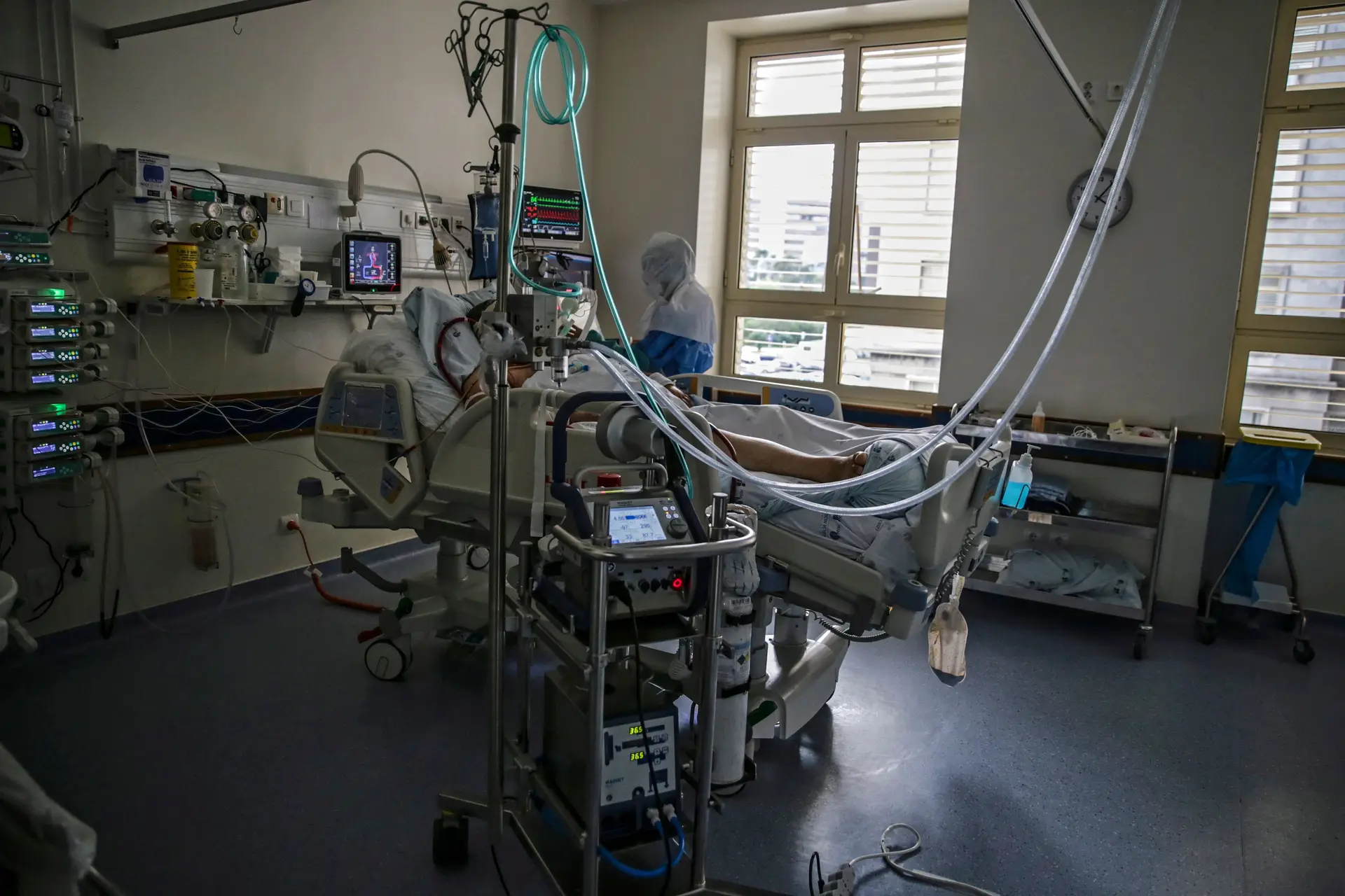 Casos de covid-19 e mortes em Portugal aumentaram 50% num mês