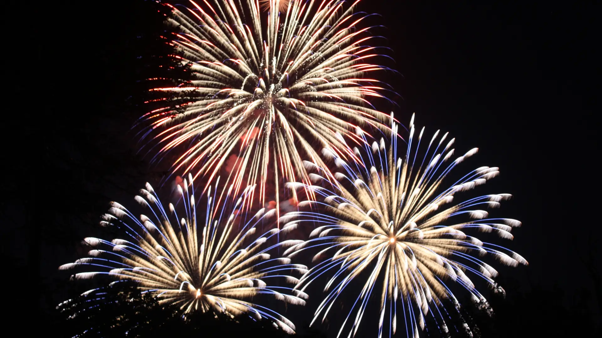 Covid-19: Câmara de Lisboa também cancela fogo de artifício da passagem de ano