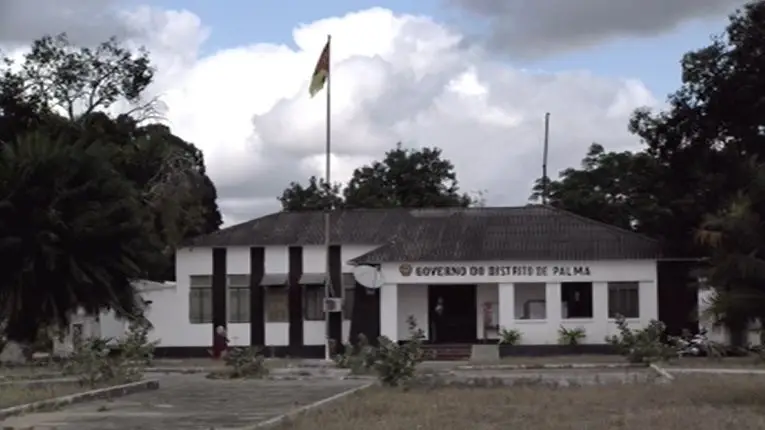 Ataques em Moçambique. Fuga de Palma leva centenas para fronteira com a Tanzânia