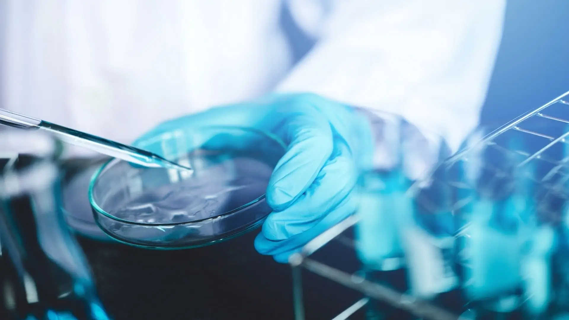 Covid-19. Medicamento experimental produzido em Portugal está pronto a usar
