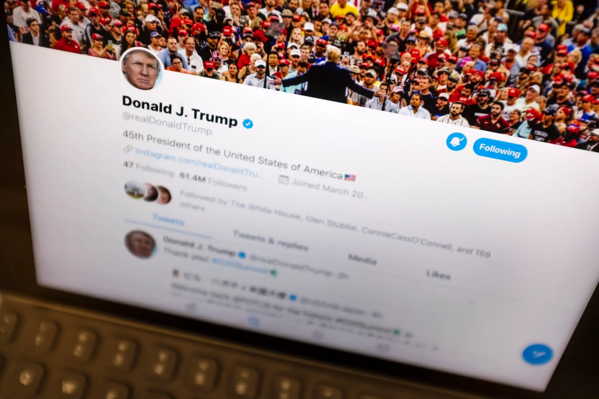 Donald Trump readmitido no Twitter