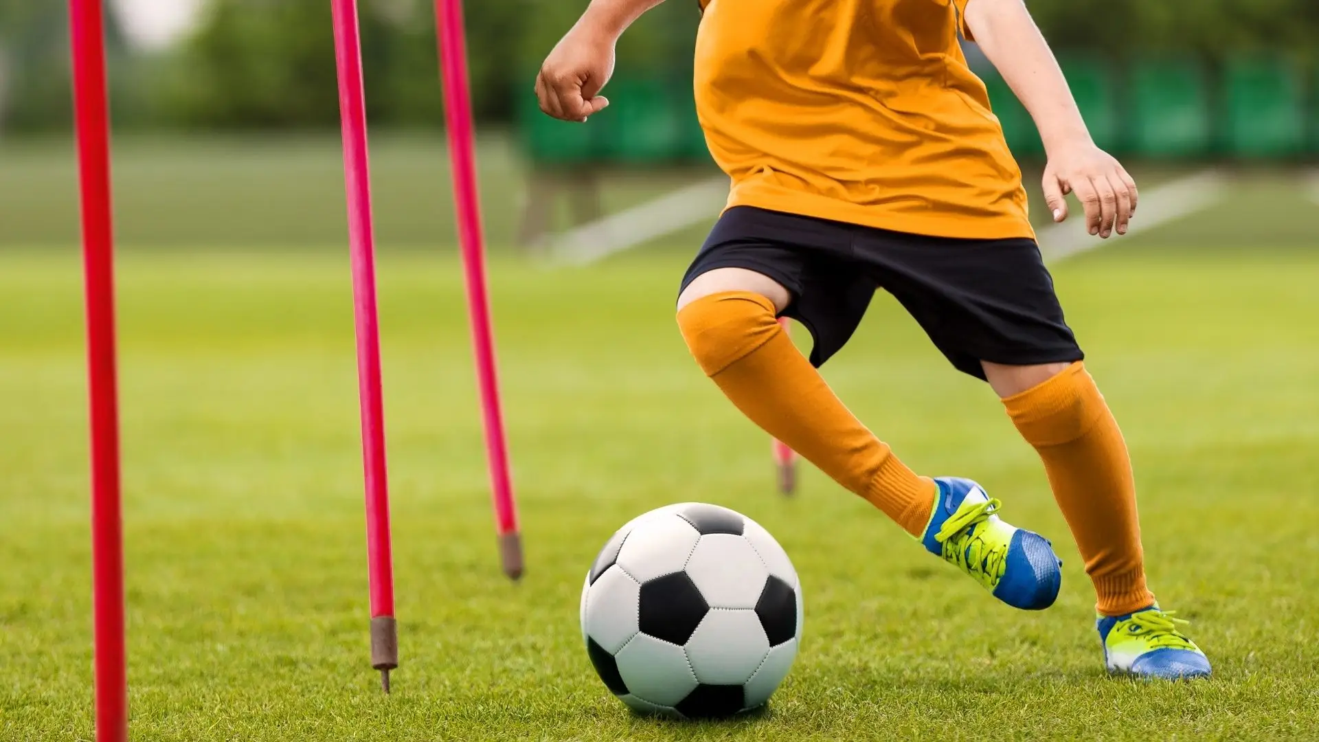 Tribunal manda retirar menores estrangeiros de academia de futebol em Famalicão