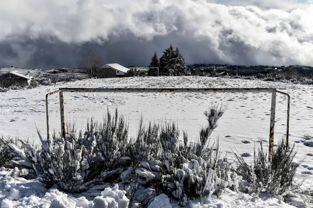 O primeiro nevão do ano cobriu de neve Castro Daire e a Serra do Montemuro