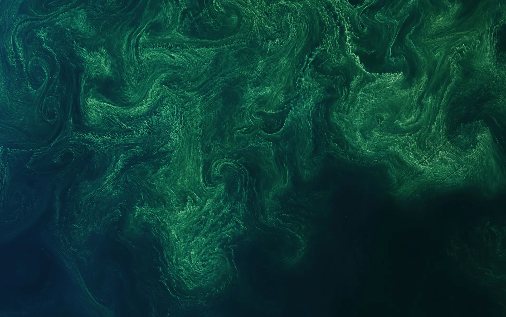 Floração de fitoplâncton, que ocorre quase todos os anos no final do verão, levado pelas correntes marítimas num turbilhão no Mar Báltico, na costa sudeste da Suécia, 15 de agosto de 2020.