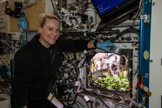 A astronauta da NASA Kate Robins exibe com orgulho uma próspera plantação de rabanete no habitat de coleta de alimentos da Unidade Colombo Européia da Estação Espacial Internacional.