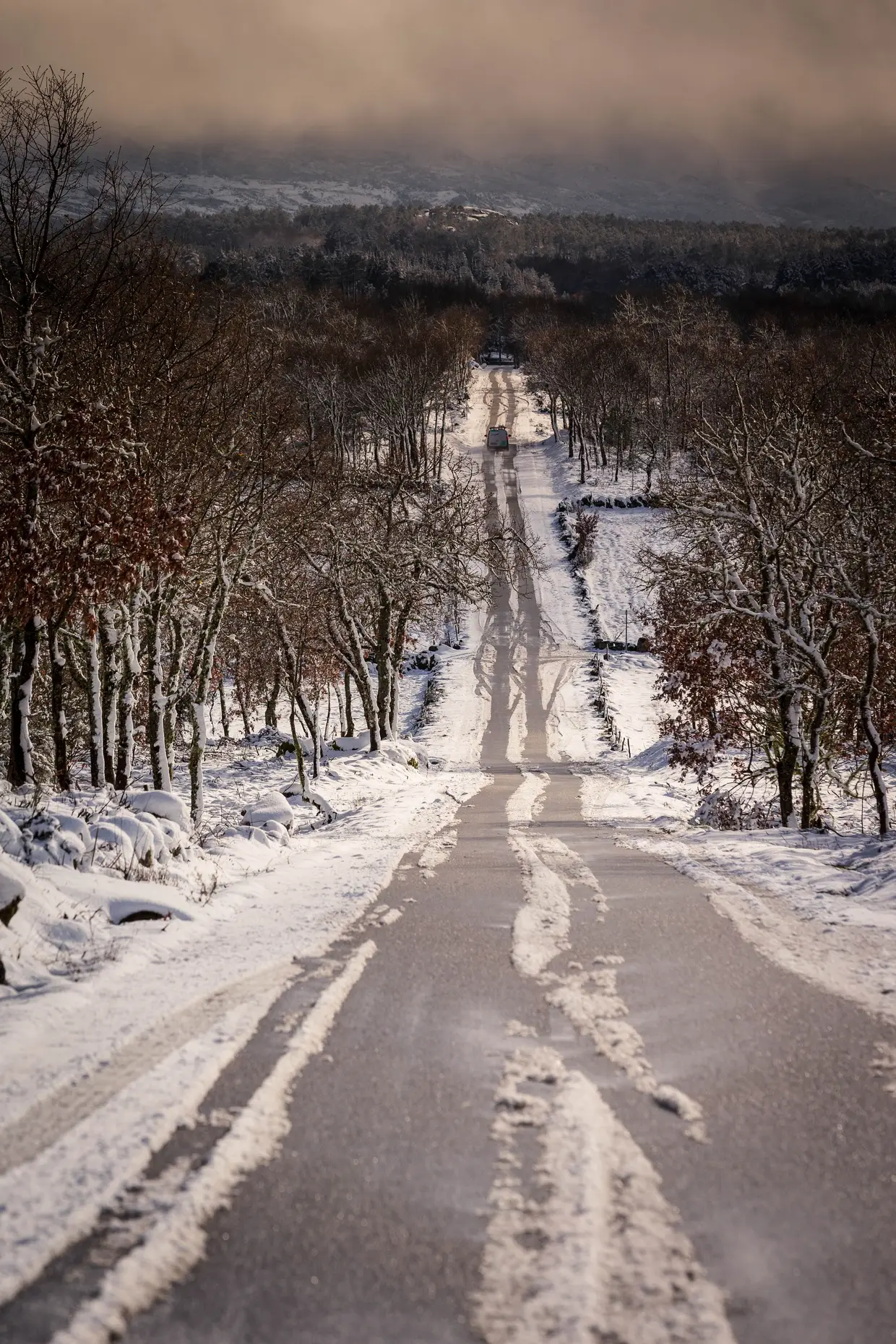 Queda de neve em Vila Pouca de Aguiar, distrito de Vila Real