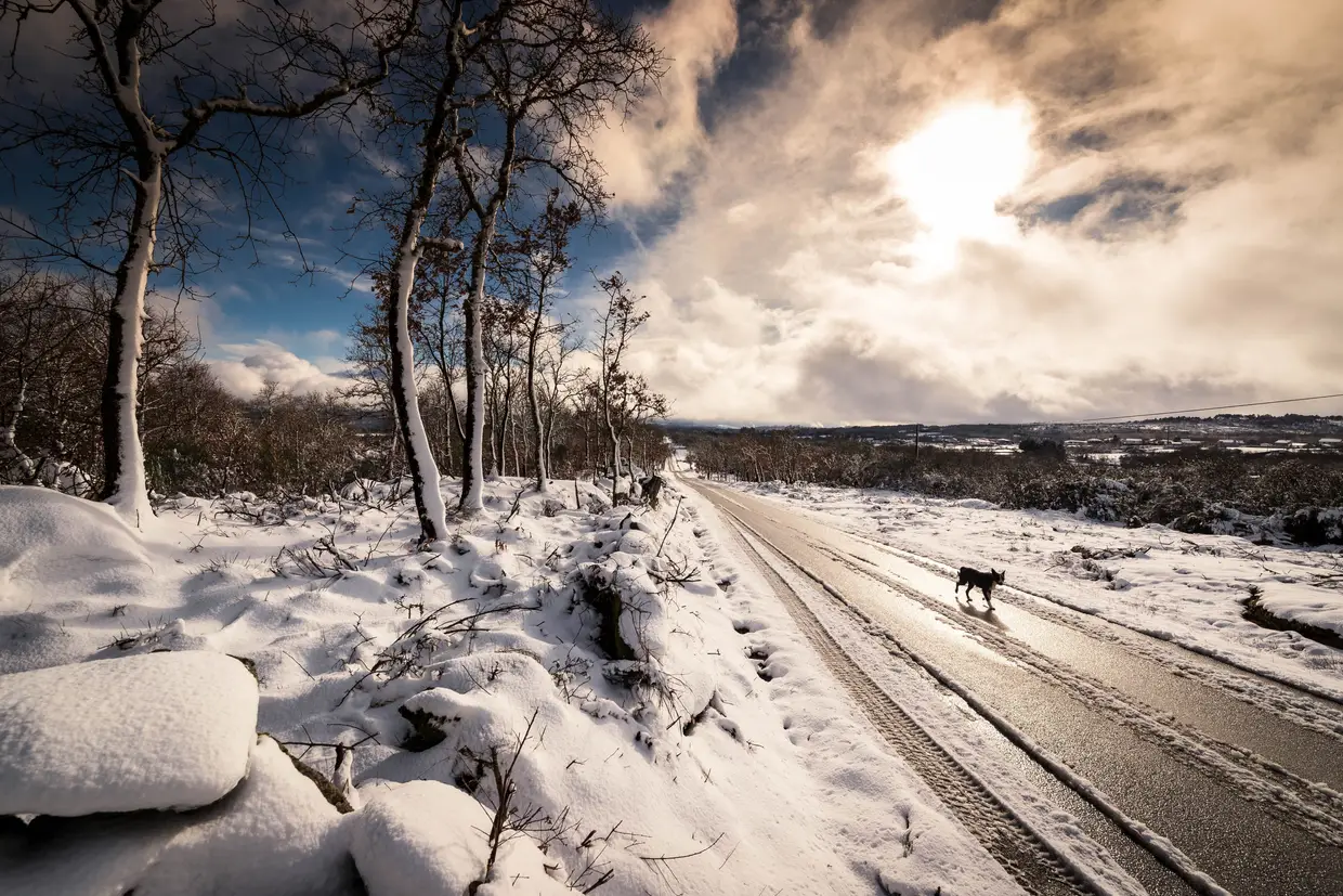 Queda de neve em Vila Pouca de Aguiar, distrito de Vila Real