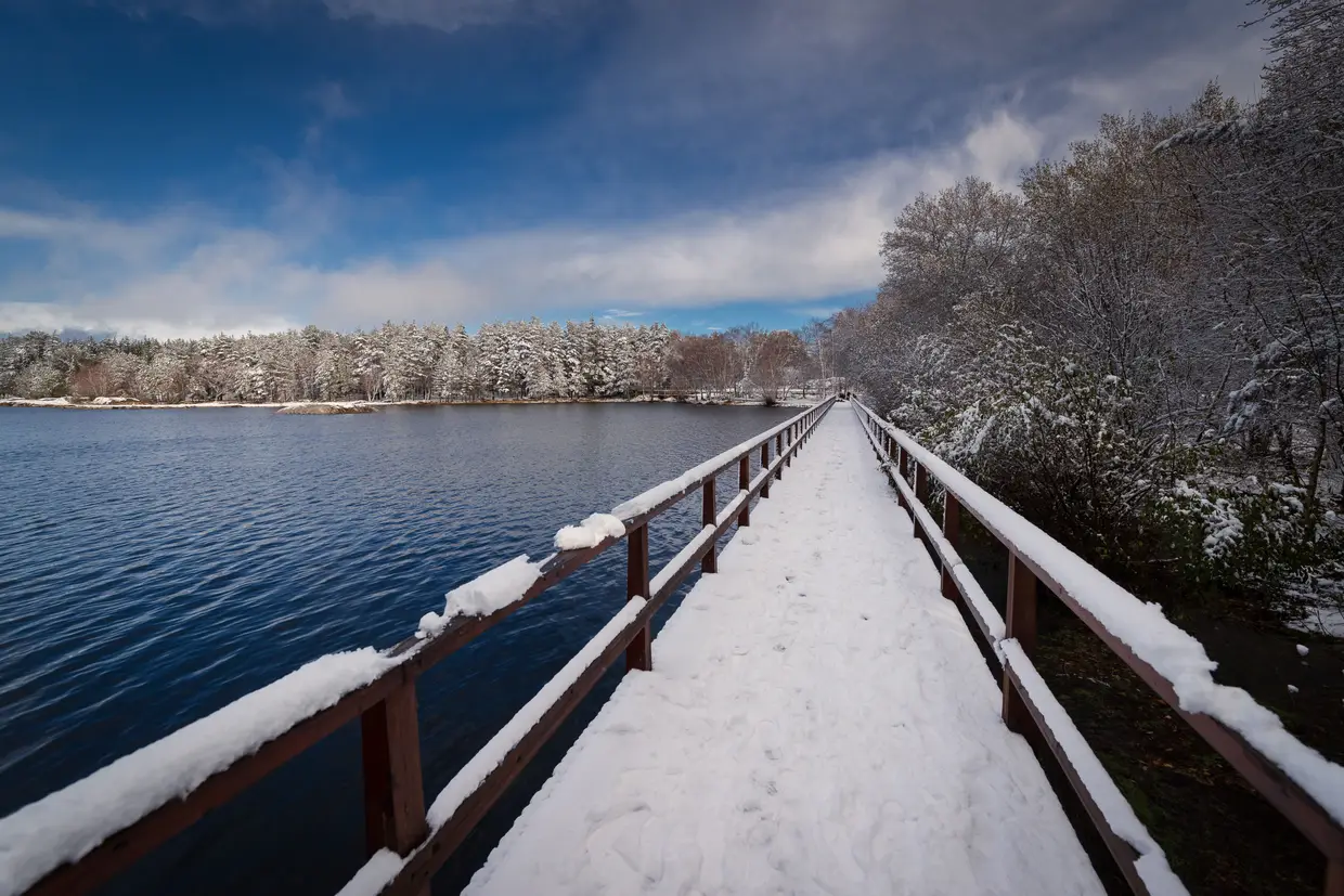 Queda de neve em Vila Pouca de Aguiar, distrito de Vila Real
