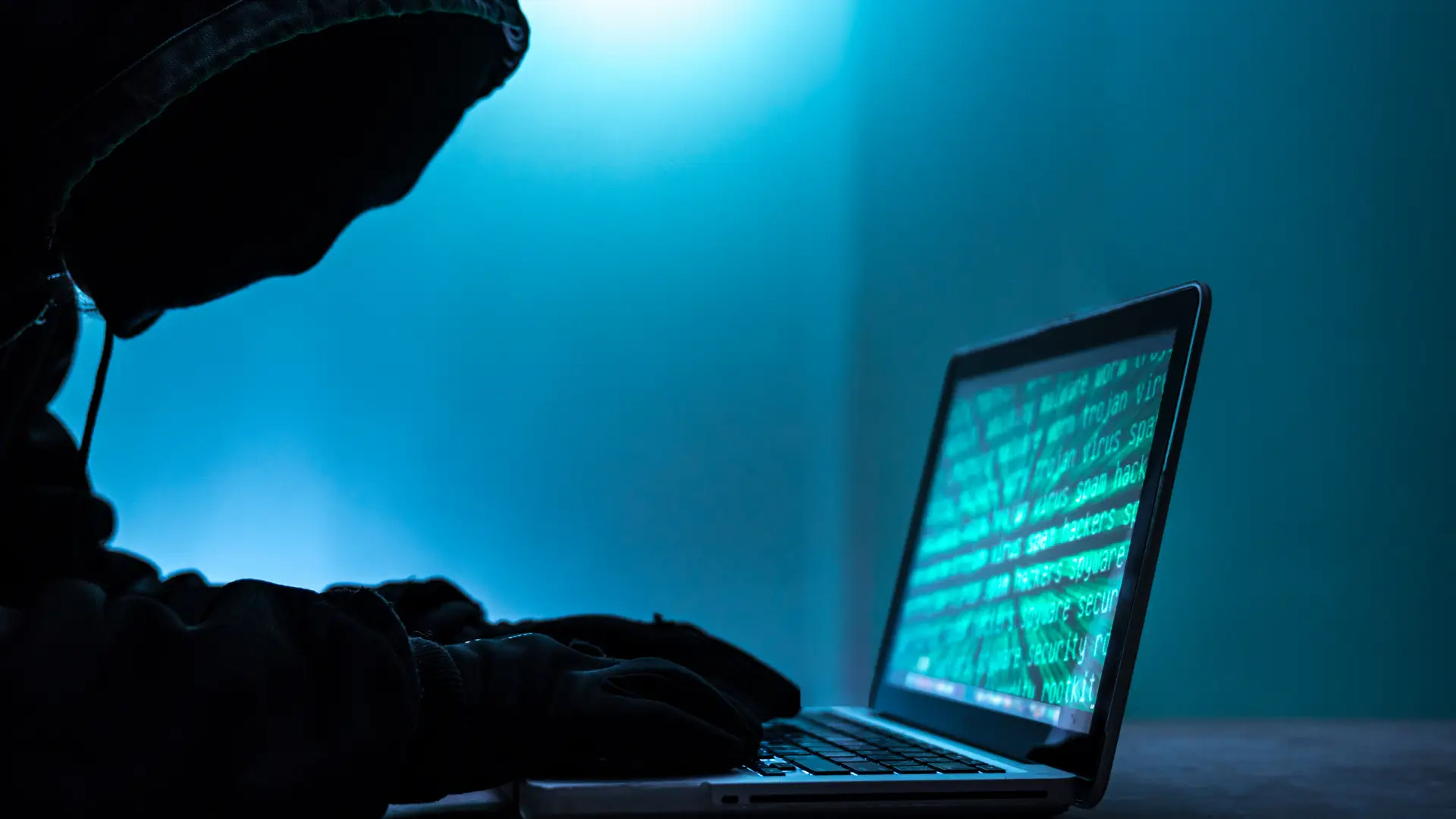 Serviços de Segurança dos EUA investigam alegado ataque informático a vários organismos do Governo