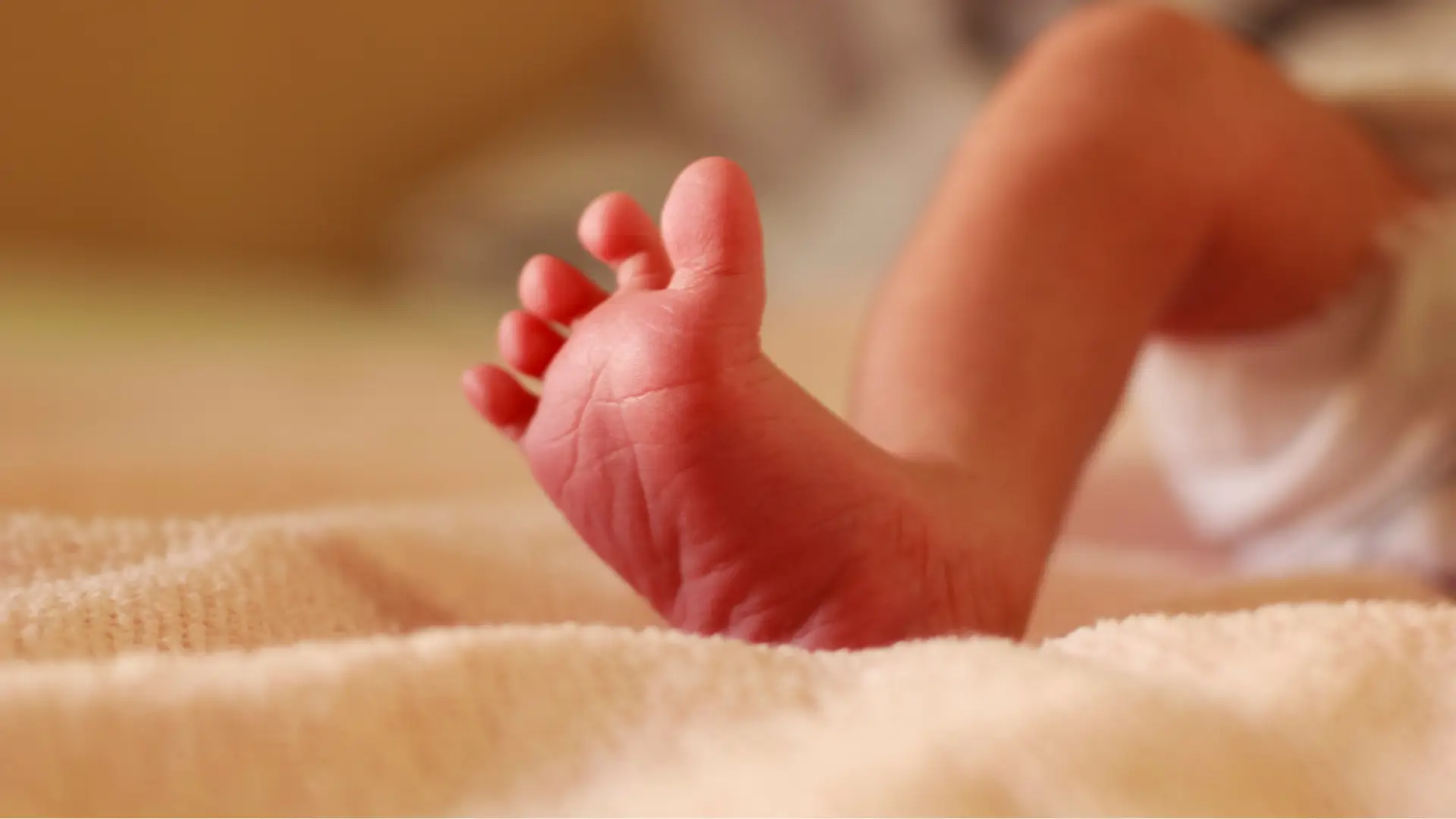 Detetados anticorpos num bebé recém-nascido depois de a mãe ter sido vacinada contra a covid-19