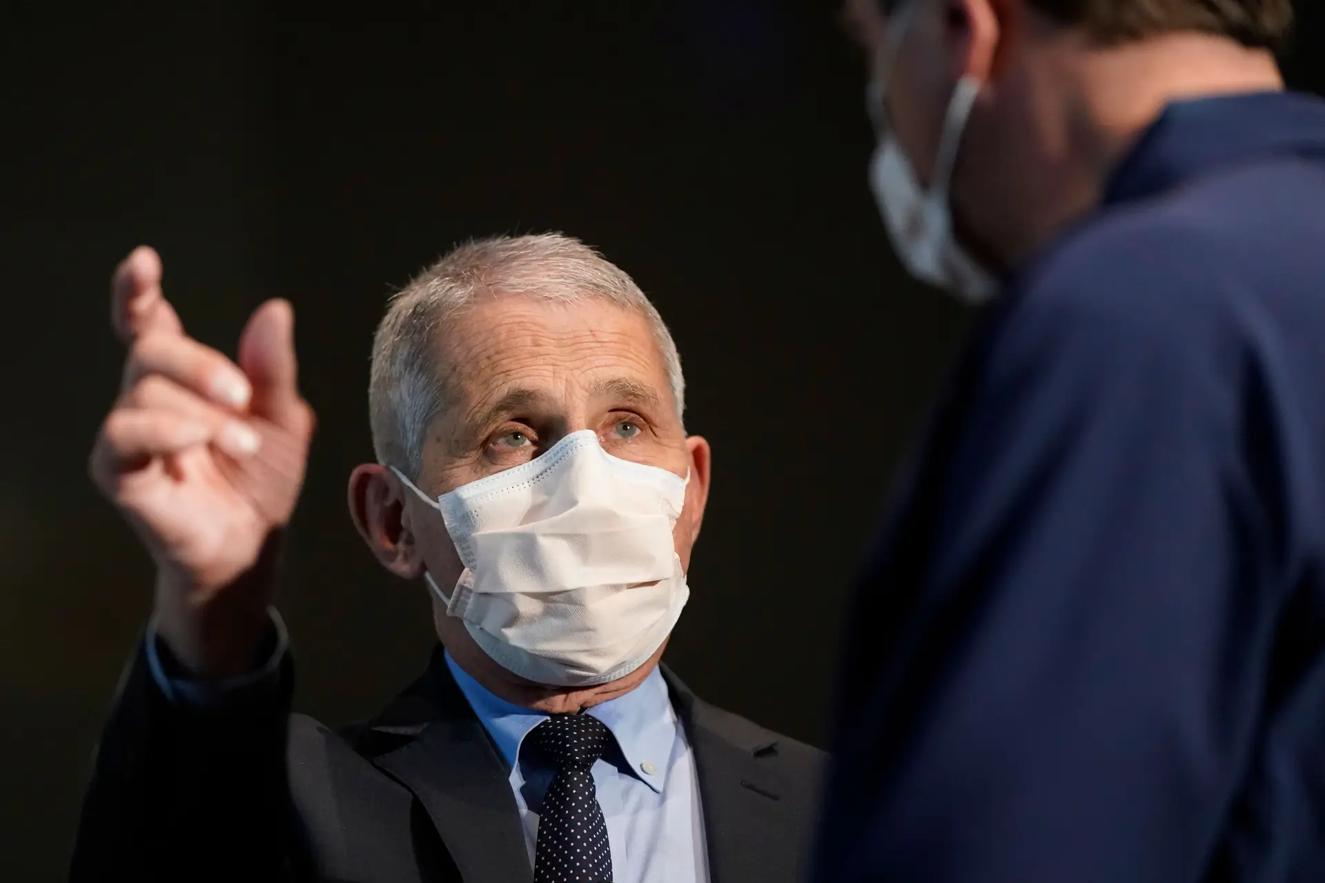 Covid-19. Fauci diz que é provável que variante britânica já esteja nos EUA