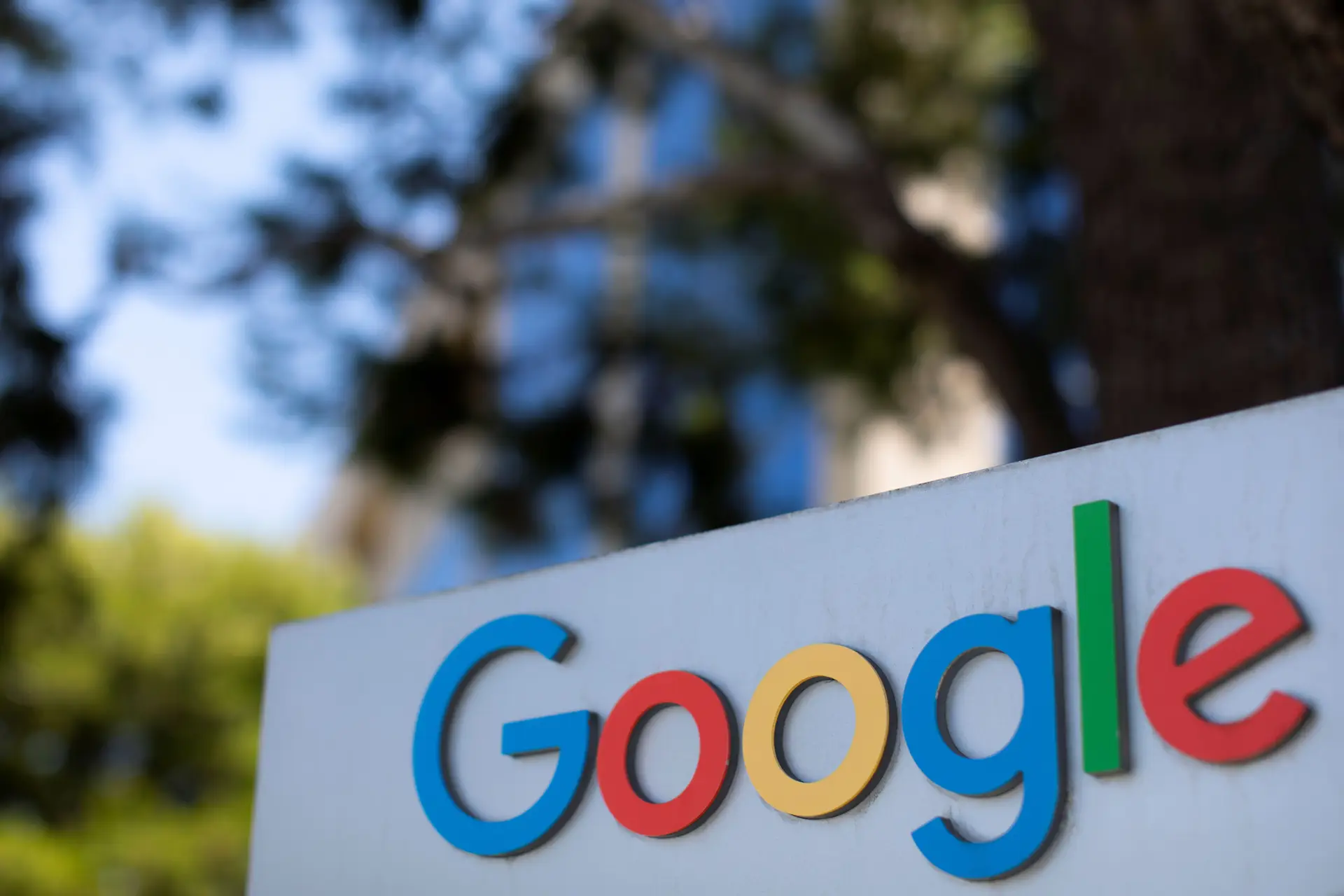 Sites do Estado fornecem dados de cidadãos para exploração comercial da Google