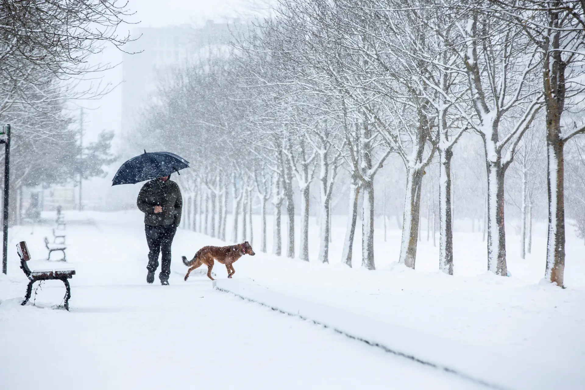 Em Espanha atingiu-se esta quarta-feira o recorde de temperatura mínima alguma vez registado na Península Ibérica: -34,1ºC em Clot del Tuc de la Llança, nos Pirenéus.