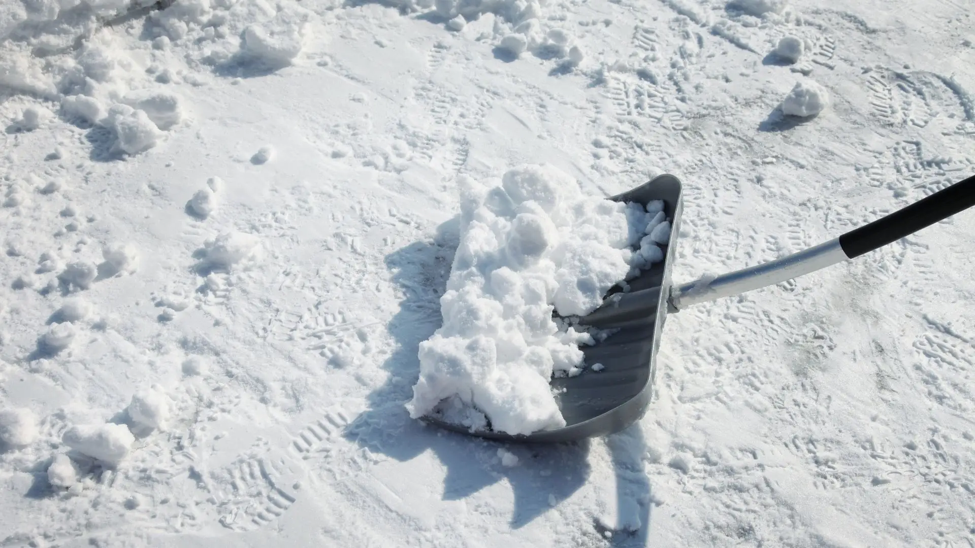 Queda de neve obriga ao corte de estradas em Castanheira de Pera