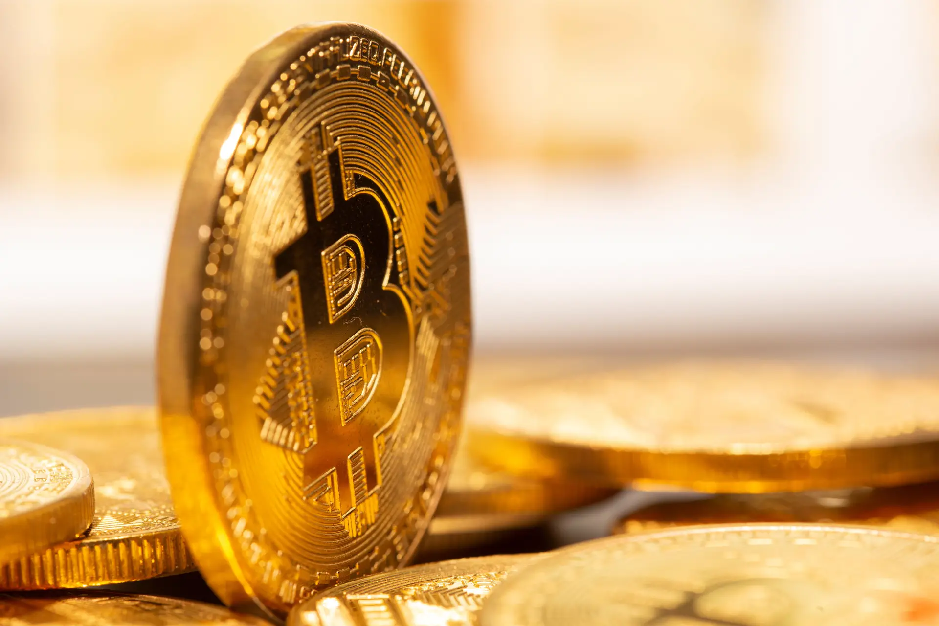 Jovem dá-se como culpado em fraude de 75,2 milhões de euros com fundo de criptomoedas