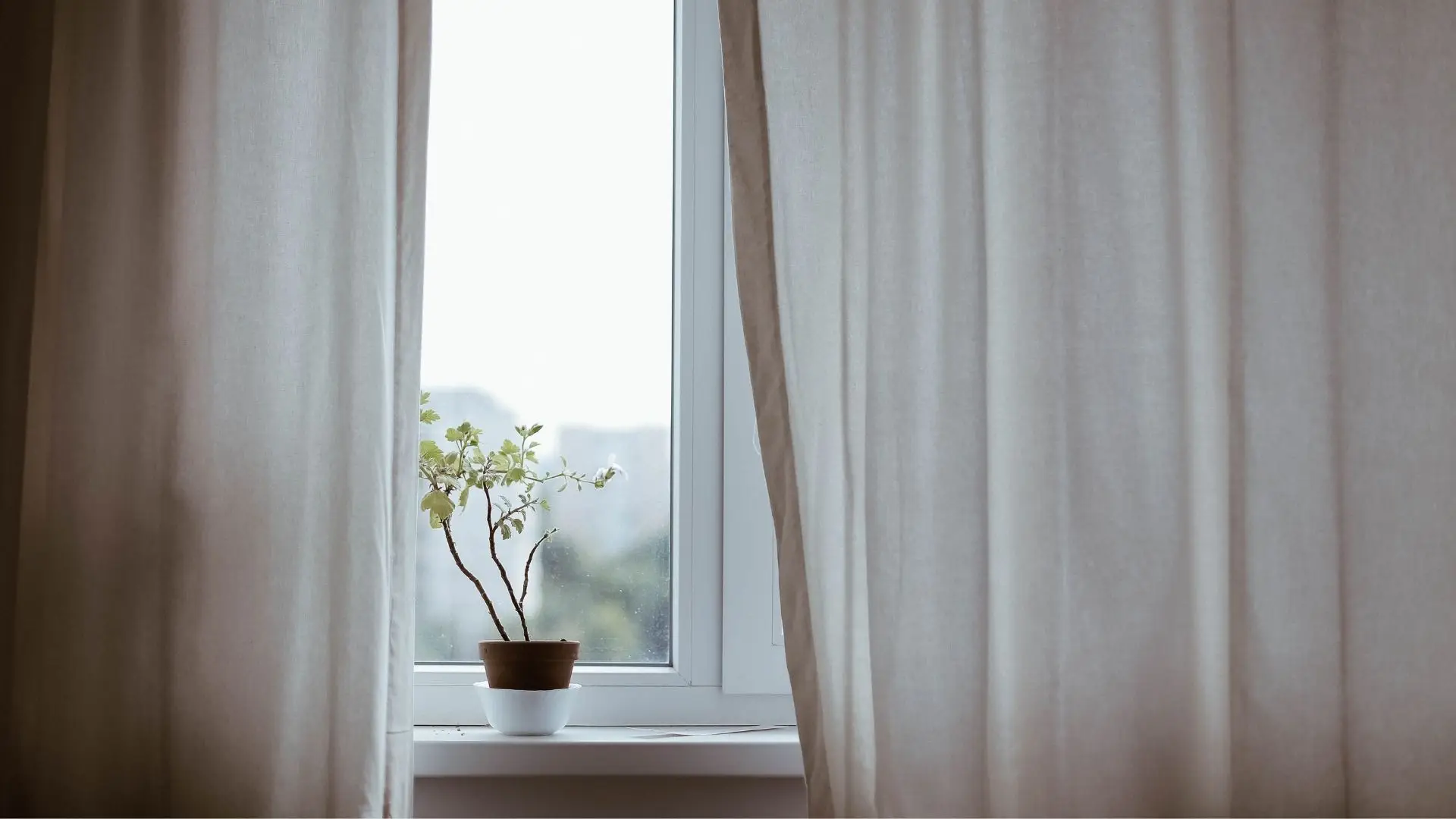 Senti o meu corpo a reagir ao vírus, mas aprendi a ver o mundo da janela do quarto