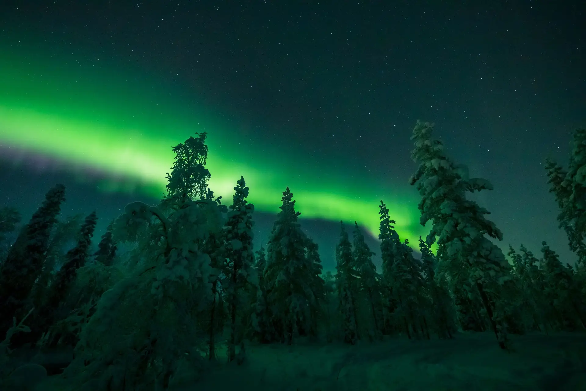 Quem é que pintou o céu de verde e vermelho? … Descobre a Aurora Polar! –  Science4you