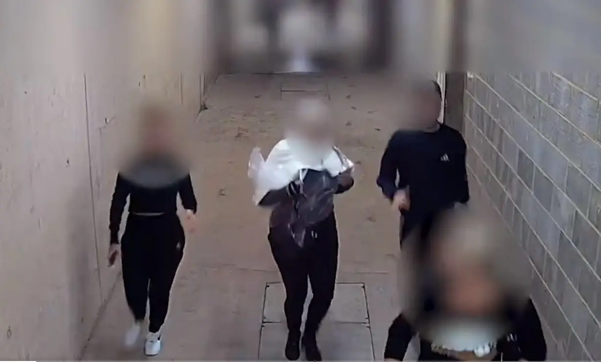 Violam confinamento para ir ao cabeleireiro e acabam a fugir da polícia com champô na cabeça