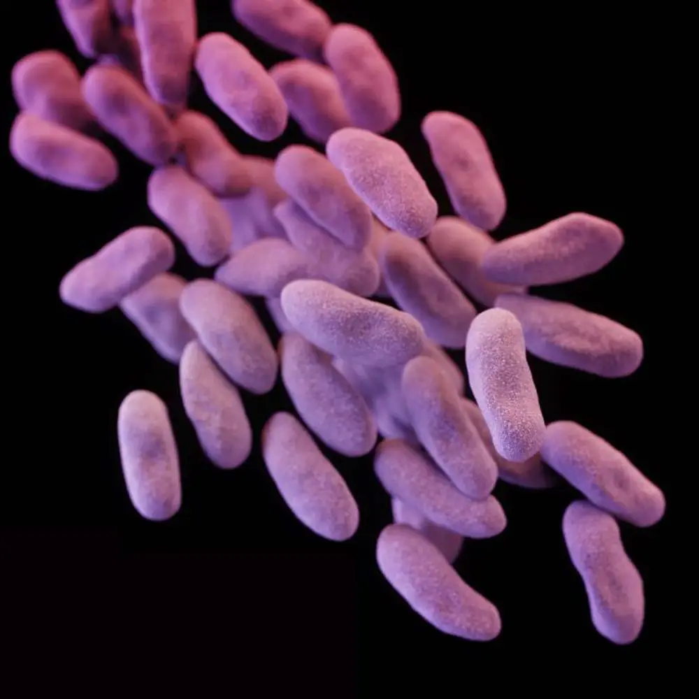 Como usar antibióticos para travar bactérias multirresistentes?