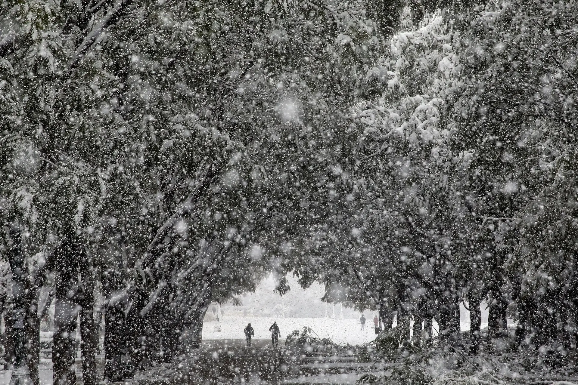 Do tempo de praia à queda de neve. O que está a motivar as alterações meteorológicas na Europa?