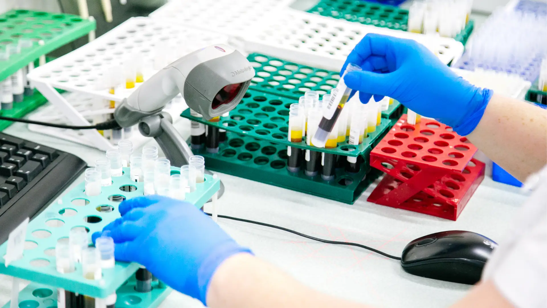 Um cientista analisa amostras de sangue num laboratório