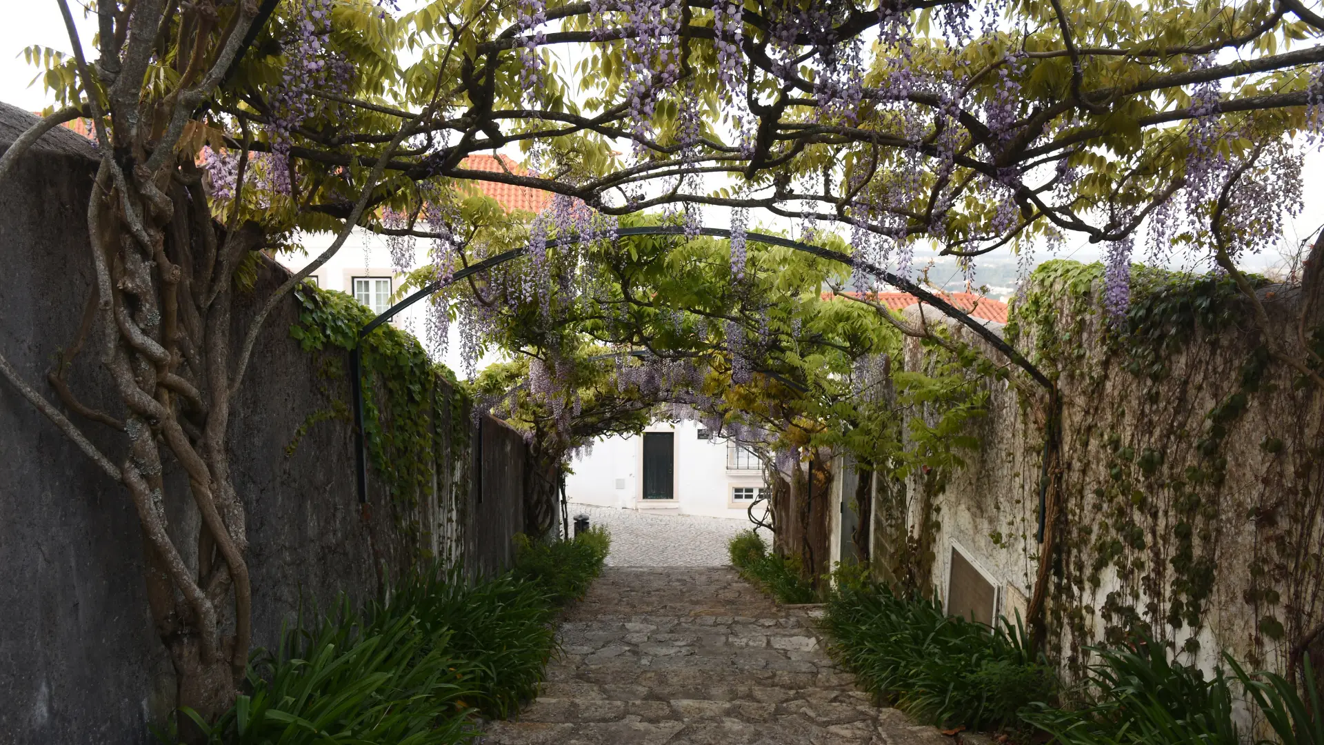 Rua de Ourém