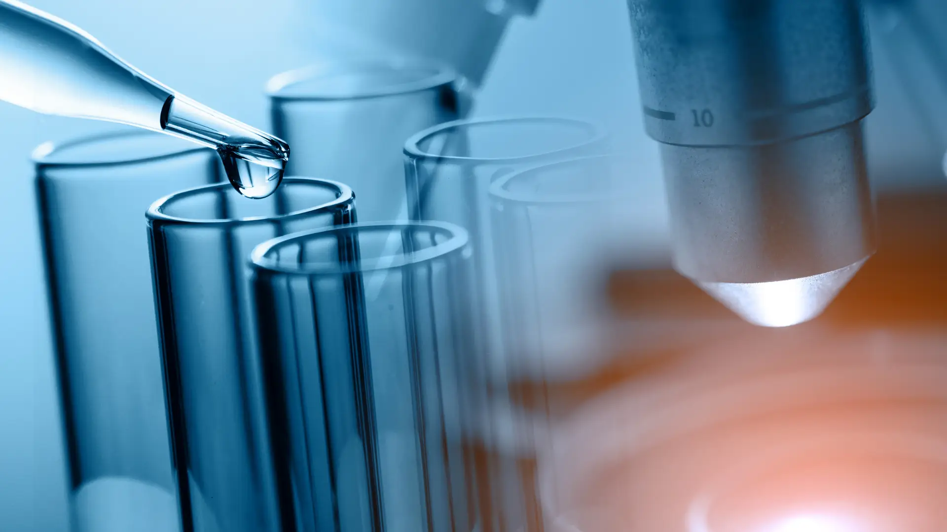 Investigadoras distinguidas por estudos sobre visão, cancro, cádmio e carbono