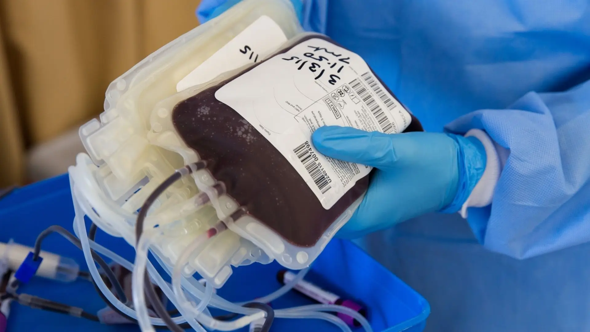 Parlamento aprova proibição de discriminação na doação de sangue por orientação sexual