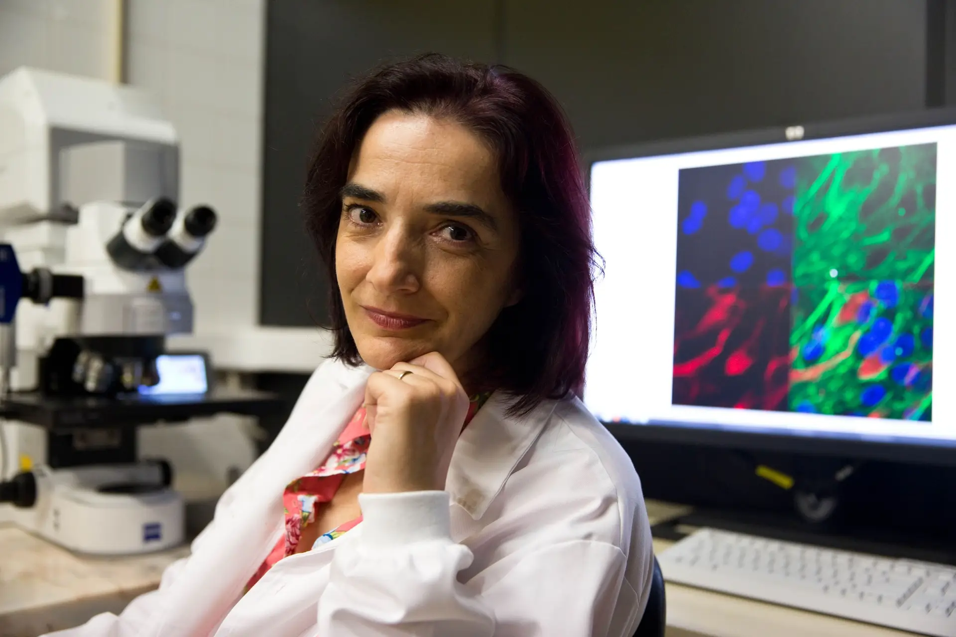 Cientista Elvira Fortunato distinguida com o Prémio Mundial de Engenharia