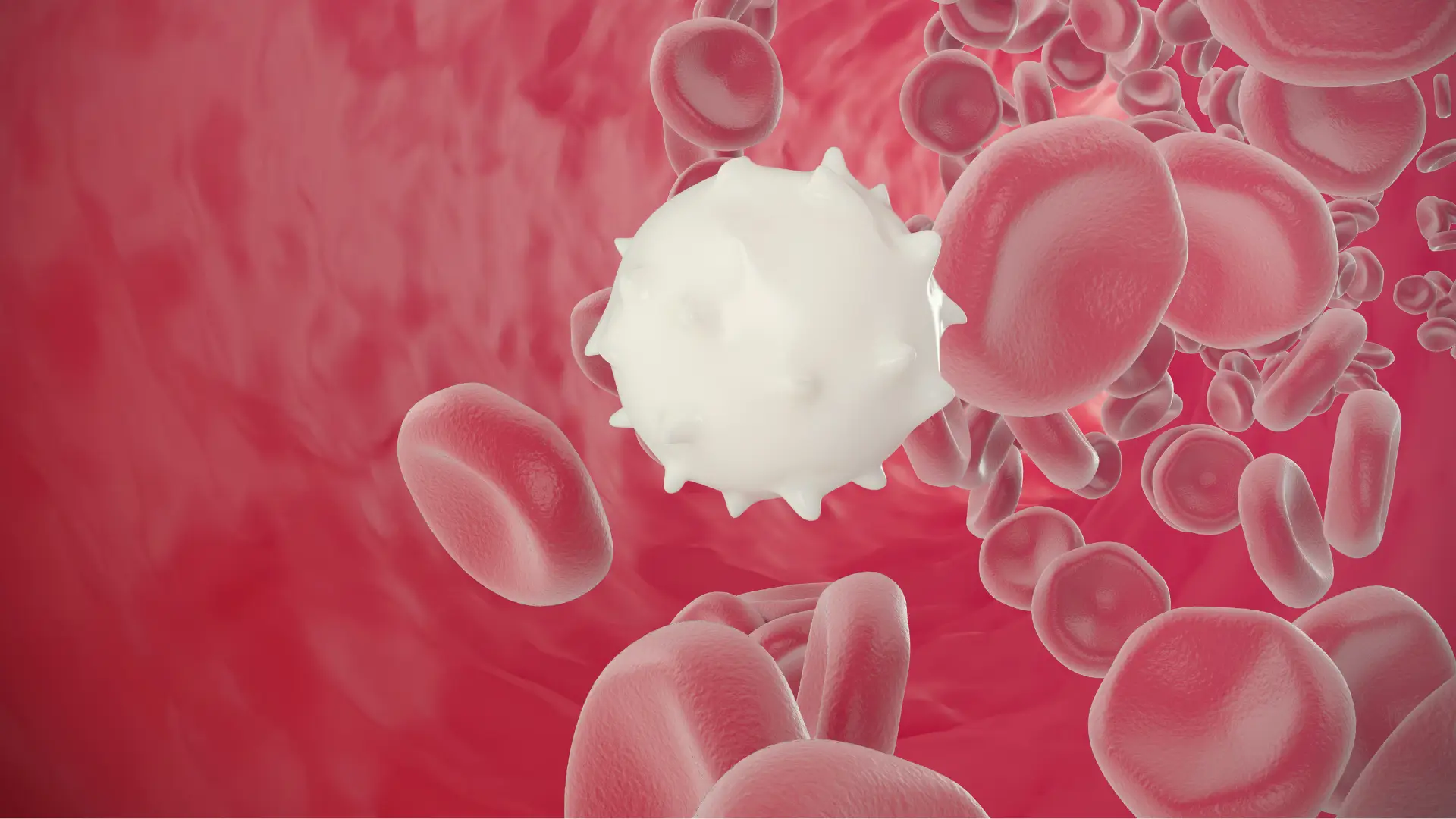 Estudo deteta células que causam leucemia antes de a doença se manifestar
