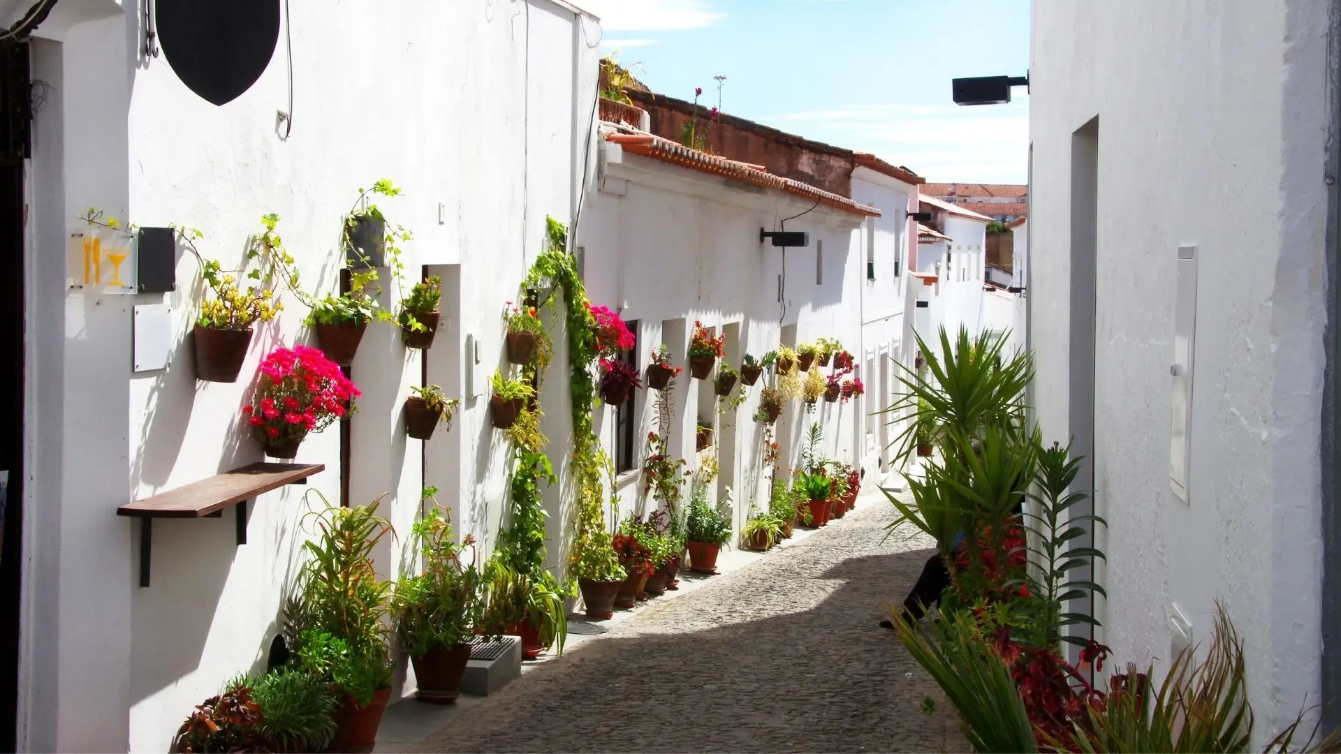 Retrocesso no desconfinamento é um