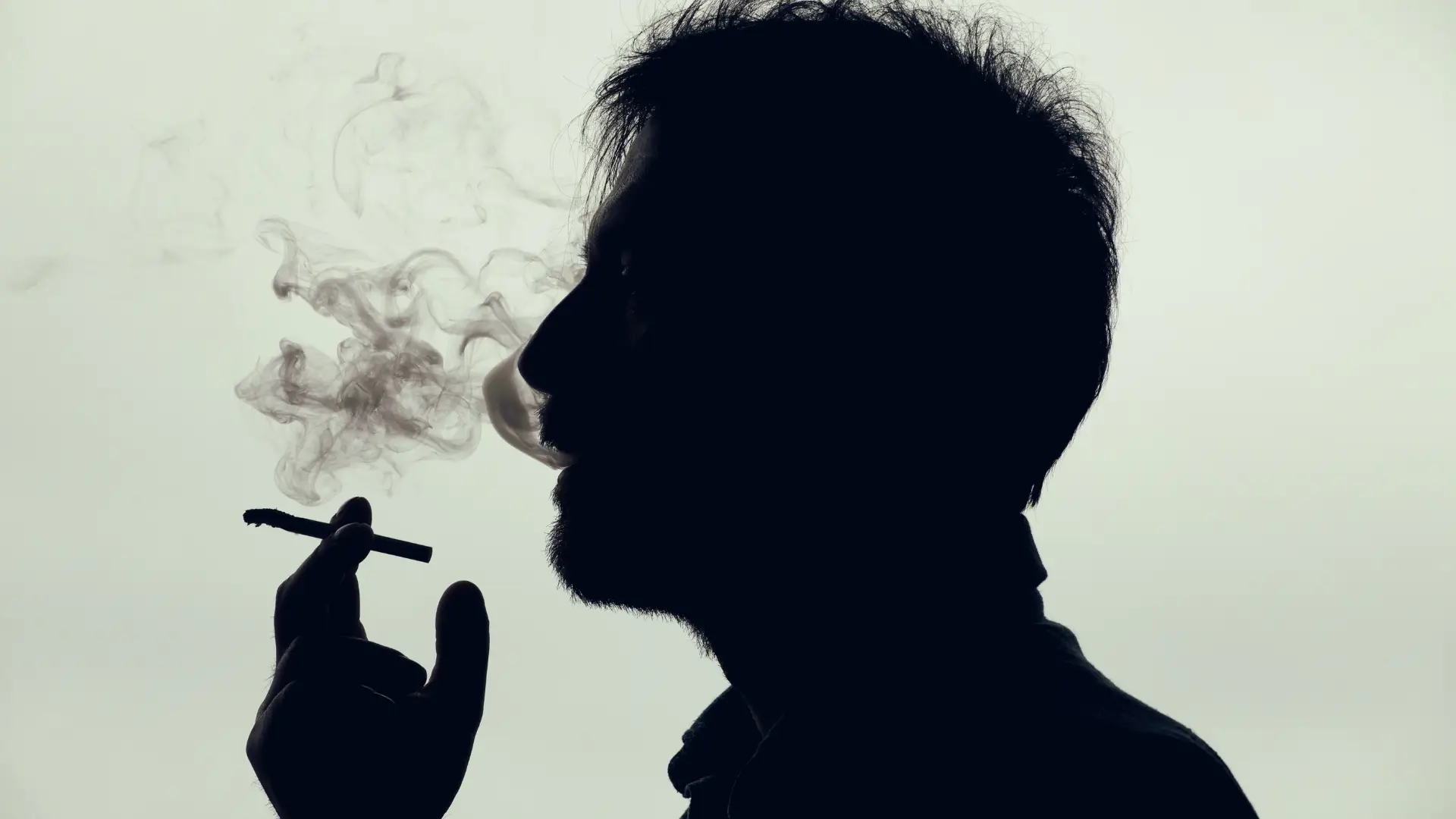 France prohibits tobacco use on beaches, parks and public gardens
