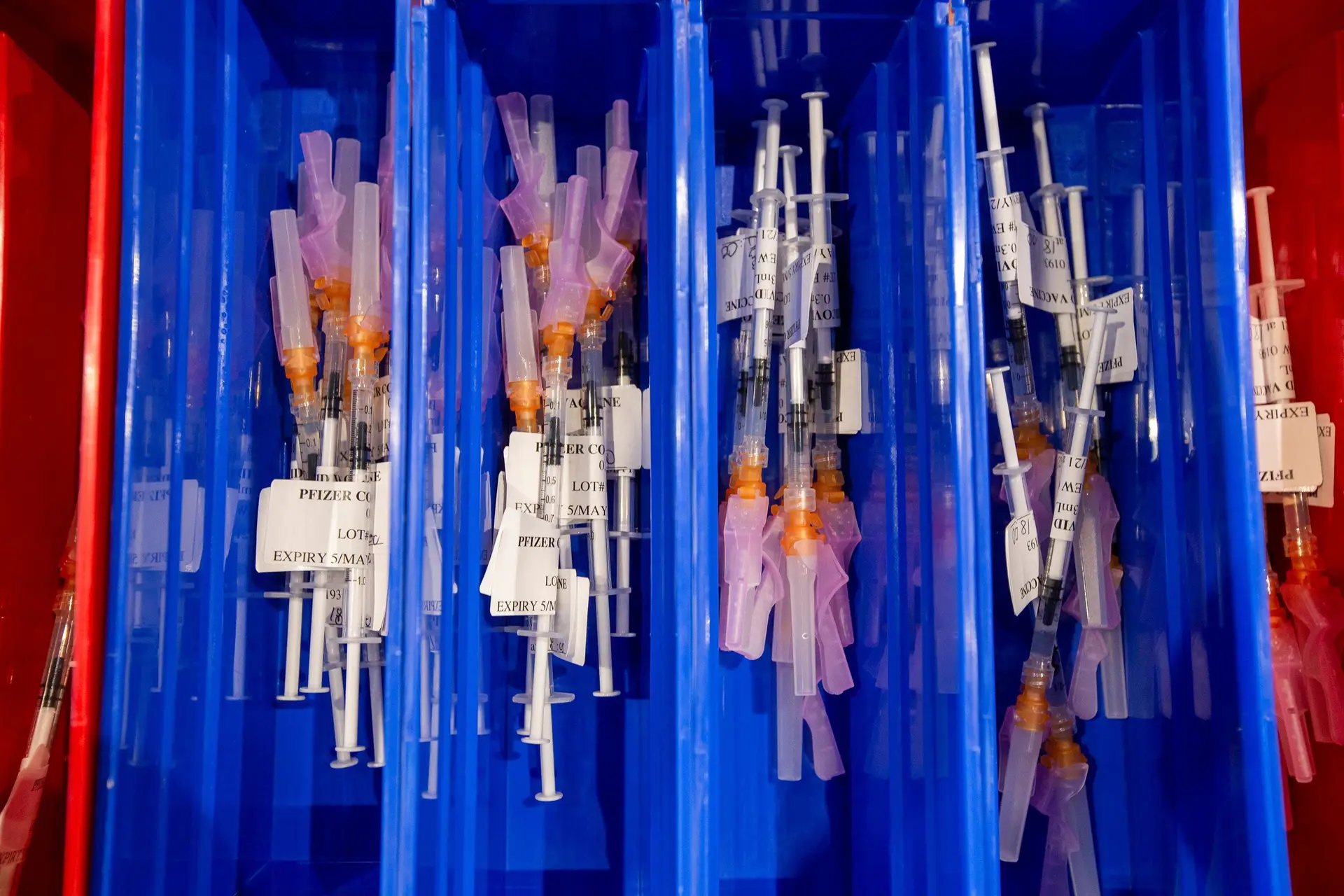 Covid-19. Estados Unidos recusam administração de terceira dose da vacina da Pfizer