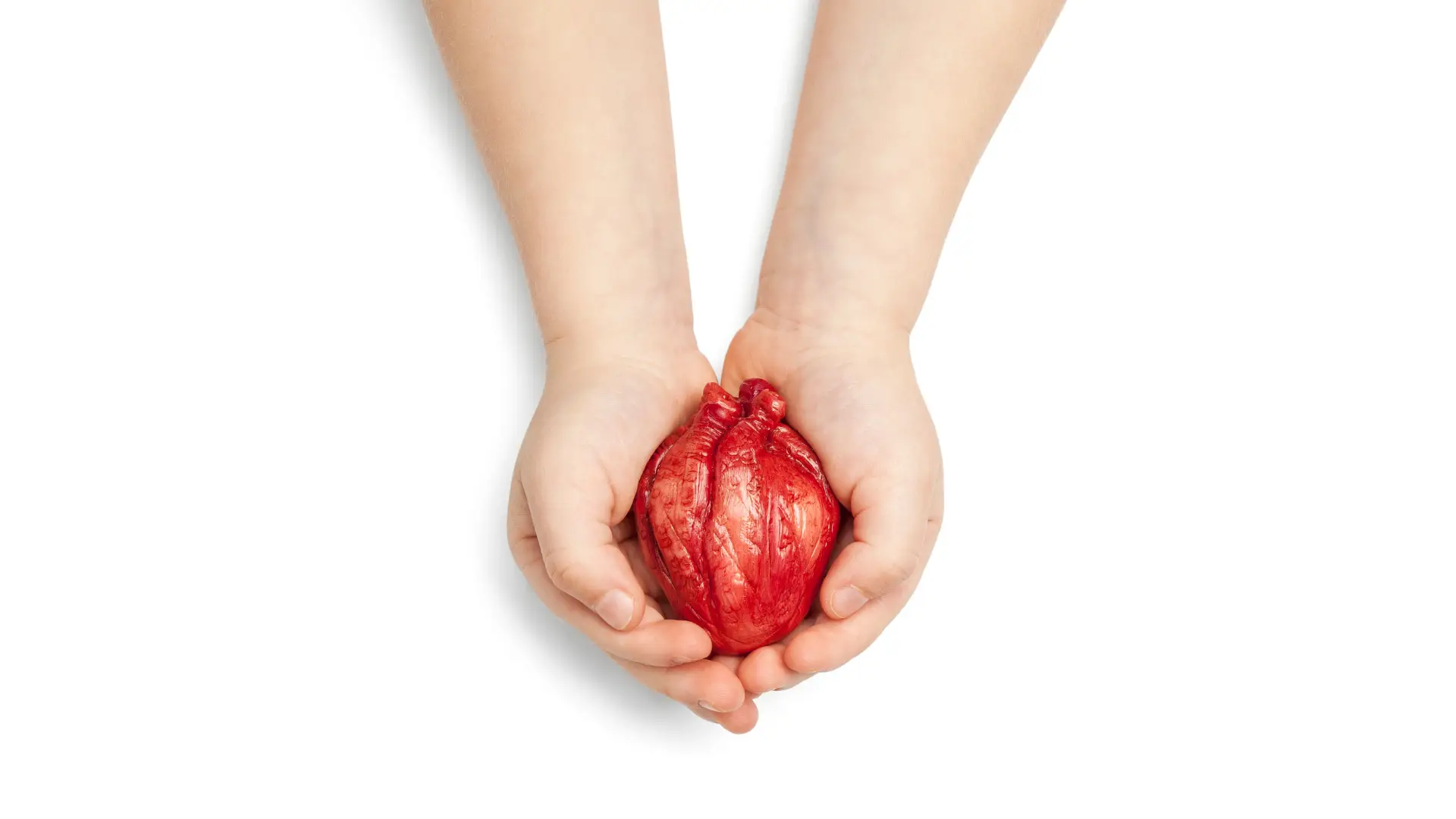 Até agora já foram transplantados tantos corações como em todo o ano passado