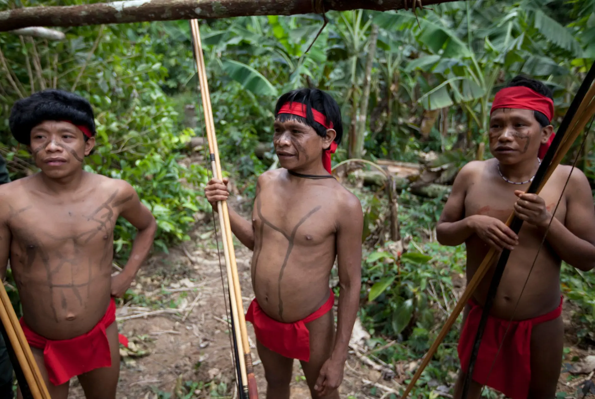 Presidente brasileiro promete aos Yanomani o fim da exploração mineira nos seus territórios
