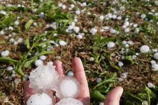 Governo anuncia linha de crédito para produtores atingidos pela queda de granizo