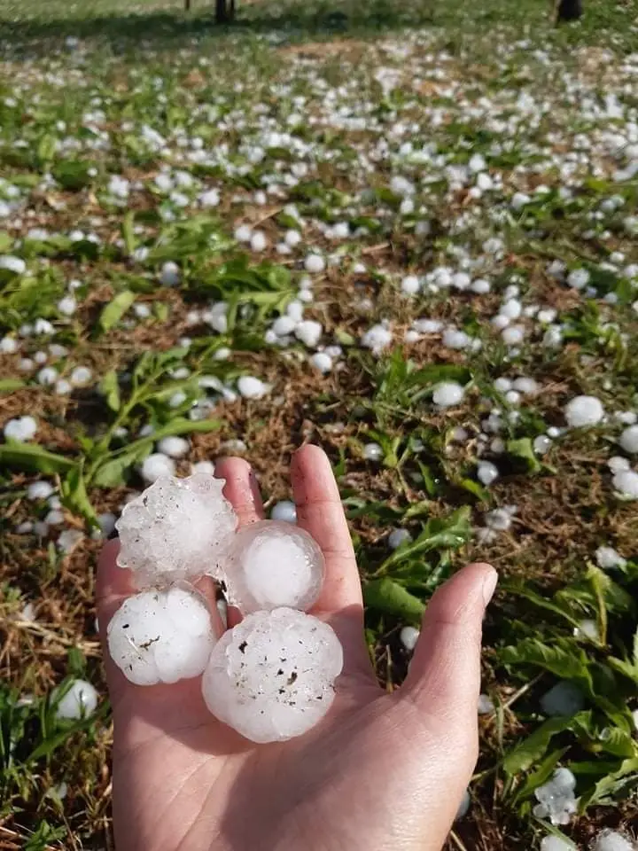 Governo anuncia linha de crédito para produtores atingidos pela queda de granizo