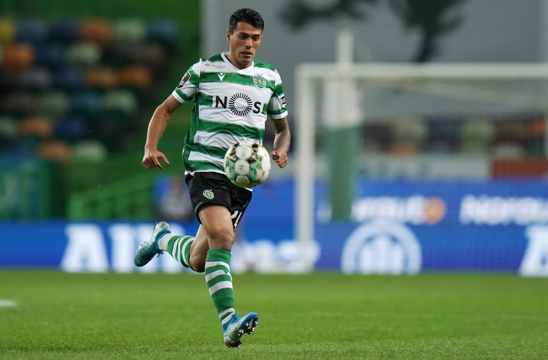 Porro continua ausente dos treinos do Sporting