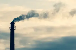 Alterações climáticas podem gerar perdas económicas muito superiores às da covid-19