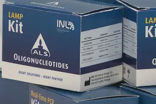 Criado em Portugal teste inovador à covid-19