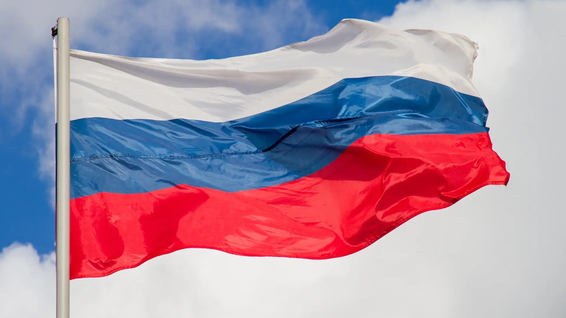 Envio de dados pessoais. Embaixada da Rússia garante que ativista pode regressar a casa "tranquilamente"