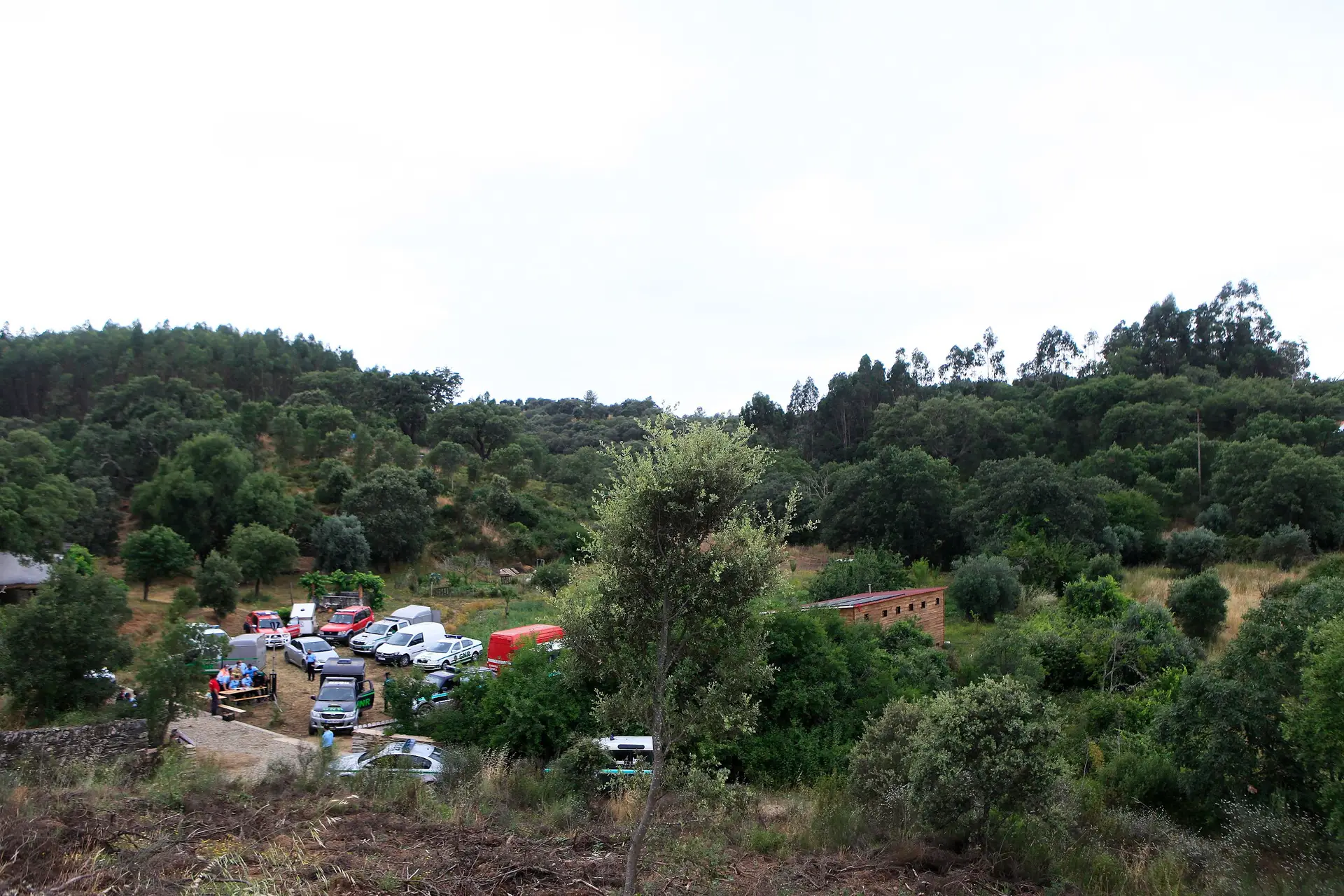 Disponibilizado apoio psicológico à família de menino desaparecido