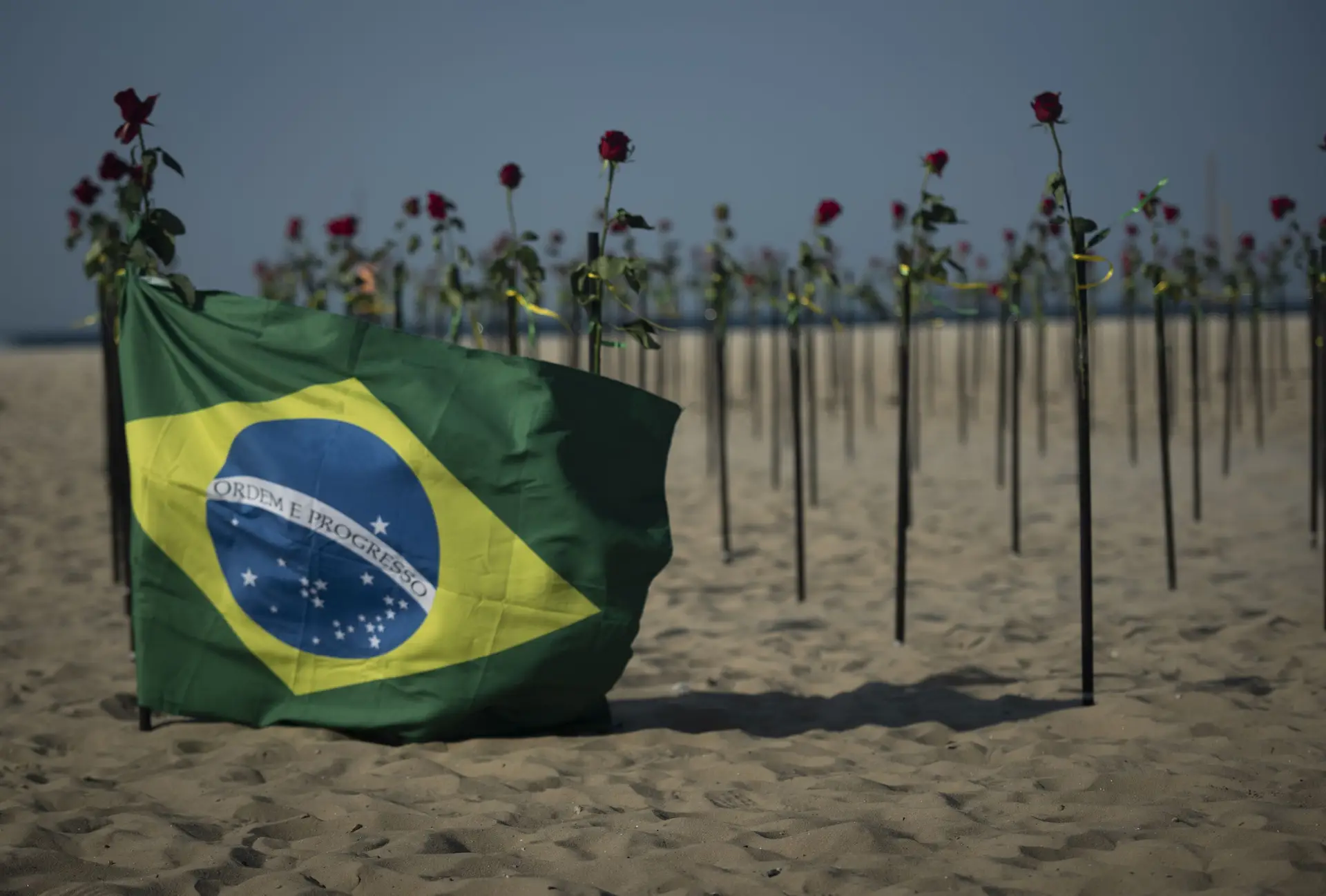 O Brasil ultrapassou este domingo as 500 mil mortes por covid-19. Para prestar homenagem às vítimas do novo coronavírus, foram colocadas rosas vermelhas na praia de Copacabana, no Rio de Janeiro. A iniciativa da organização Rio de Paz pretendeu também contestar a resposta do Governo à pandemia. O Brasil é o segundo país do mundo com mais vítimas mortais por covid-19, depois dos Estados Unidos.