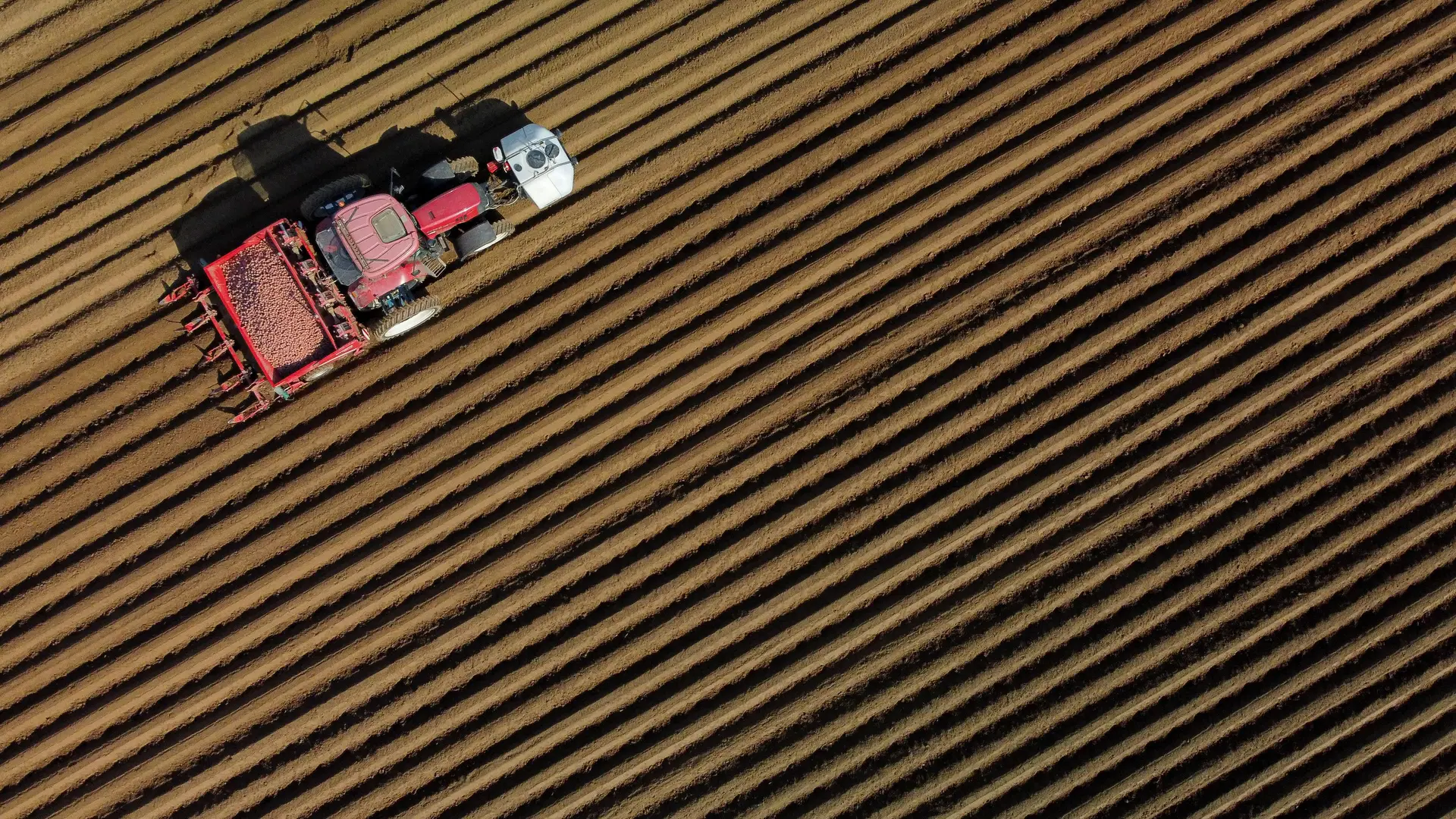 Política Agrícola Comum segue caminho "desastroso", dizem ambientalistas