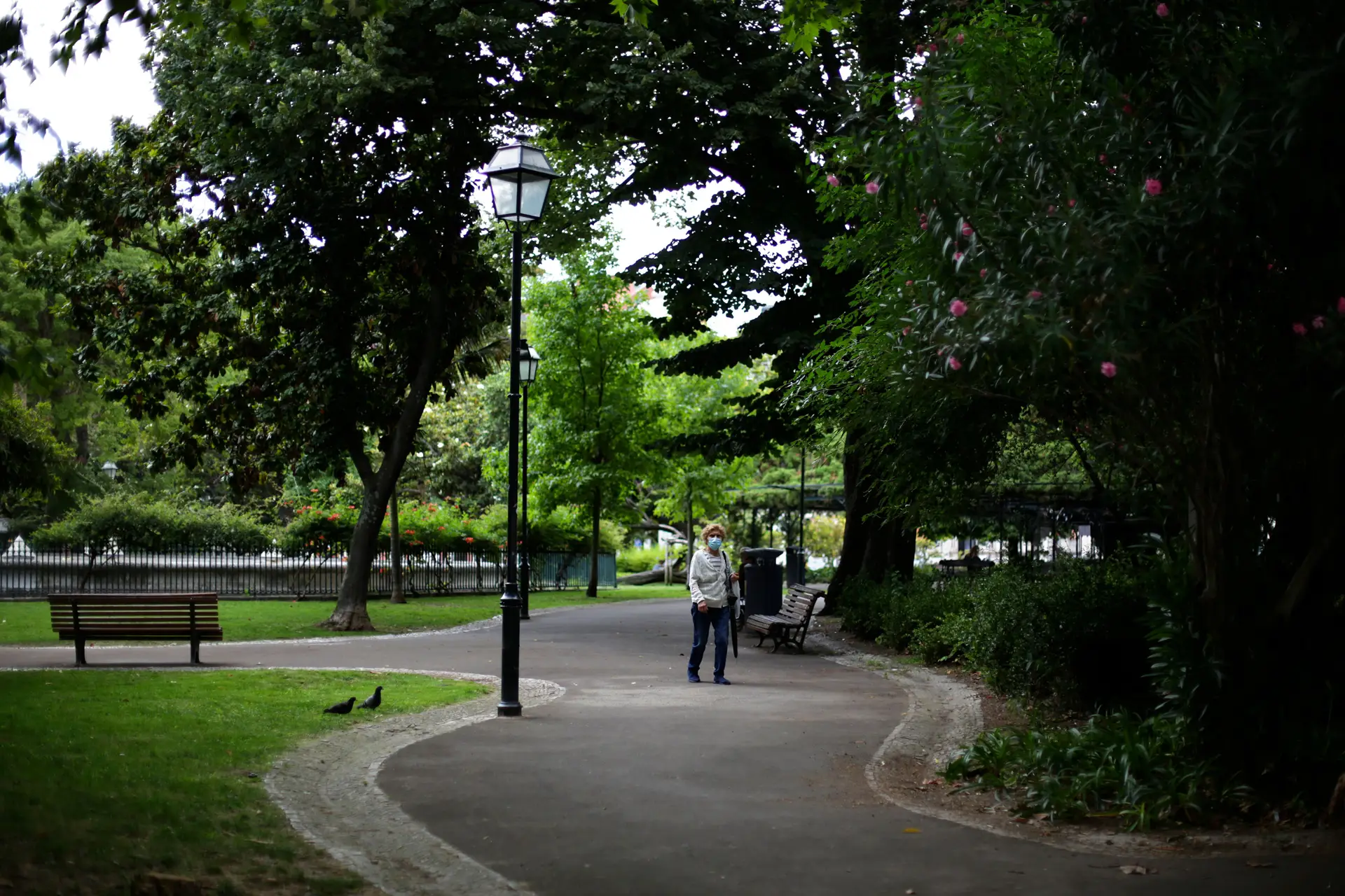 Covid-19. Incidência aumenta para 280,5 por 100 mil habitantes no continente