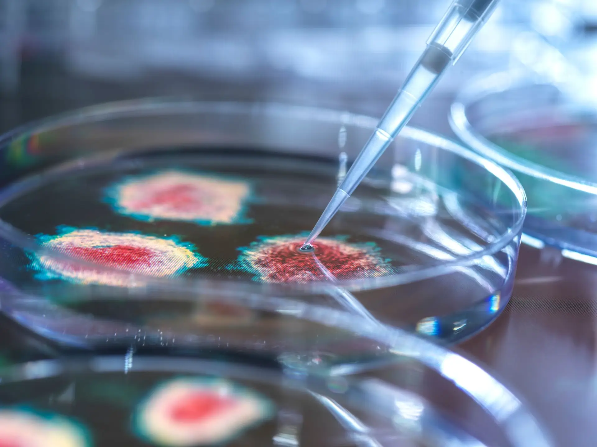 Covid-19: dois casos da nova variante detetados no Reino Unido