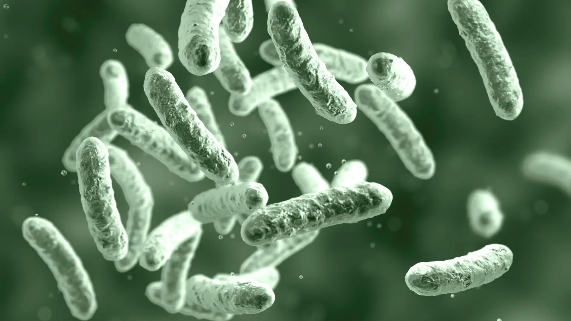 Consórcio acusado do surto de legionella no São Francisco Xavier pede abertura de instrução