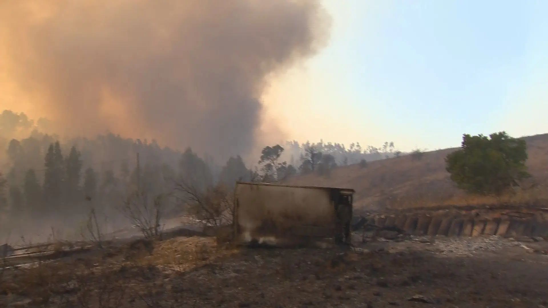 Incendio Em Monchique Obriga A Evacuar Localidades Sic Noticias